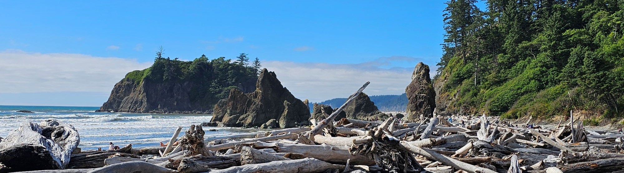Ruby Beach Washington coast